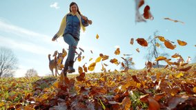 SLOW MOTION, LENS FLARE: Woman and her dog playing among flying autumn leaves on a meadow. Energetic doggo and smiling owner jump and run through vibrant foliage and enjoy a sunny day in fall season. - Powered by Shutterstock - Get 15% off with code: PIKWIZARD15