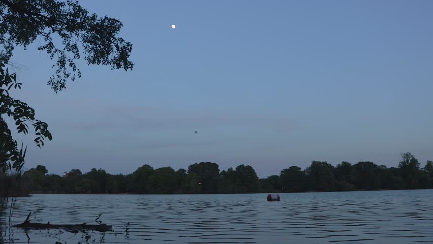Wide Shot of the Moon at Twilight over a Peaceful Lake in a Park with Trees.