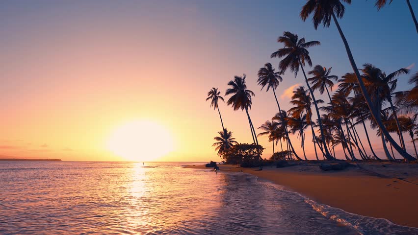 Summer sunny evening on Dominican beach with palms. Paradise island in blue ocean. Palm beach and sunny sea background. Tropical sea coast. Relaxation and rest. Evening nature landscape.
