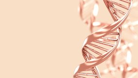 Rose gold DNA double helix strand rotates on beige background loop animation. science and biotechnology concept. 3d render - Powered by Shutterstock - Get 15% off with code: PIKWIZARD15