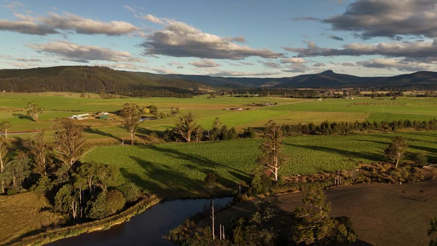 Green and yellow farm fields with mountains during golden hour in Tasmania. Scenic landscape of Australian countryside. Aerial wide shot.