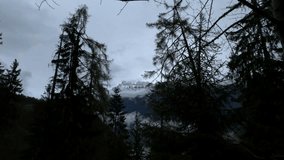 A snowcapped mountain peak in the Alps in Switzerland with silhouettes of tree branches and trunks in the foreground. A slowly moving shot with low saturation in 4K resolution taken in springtime. - Powered by Shutterstock - Get 15% off with code: PIKWIZARD15