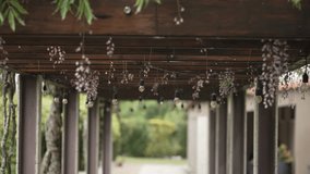Rustic pergola with hanging bulbs and dried flowers, serene ambiance - Powered by Shutterstock - Get 15% off with code: PIKWIZARD15