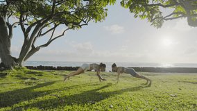 A couple performs push-ups on the grass near the ocean during sunrise, enjoying a refreshing outdoor workout with scenic coastal views and tree shadows adding to the serene atmosphere. - Powered by Shutterstock - Get 15% off with code: PIKWIZARD15