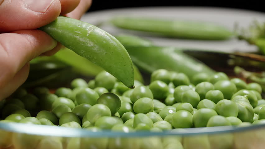 Close-up of shelling peas, green peas falling into the plate. Slow-motion.