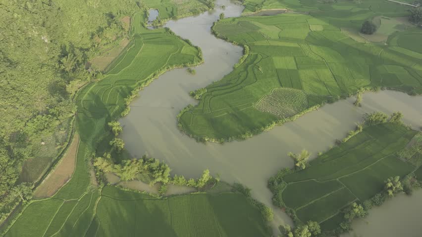 Aerial of rice field in Phong Nam valley, Cao Bang, Vietnam with Karst mountain valley. Nature bakground. Tourist attractions.