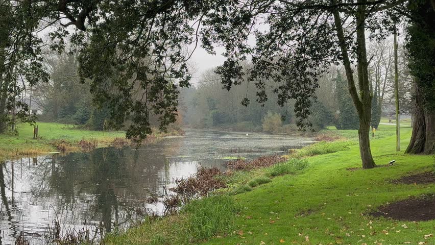 Foggy haze in tranquil scene with countryside pond in mature forest