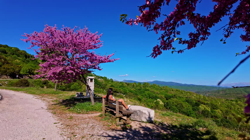 Young woman sitting on a bench between two flowering pink judas trees looking at the landscape, dolly out