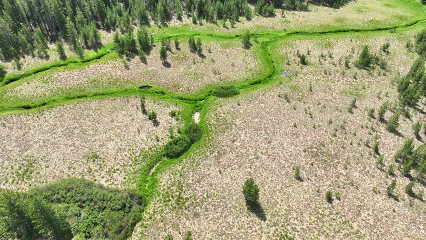 Forest covers the volcanic landscape near Mt. Bachelor, located not far from Bend, Oregon. Part of the cascade volcanic arc, this scenic area is popular for biking, hiking, and skiing.