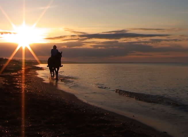 The mysterious horseman goes along a surf on a background of sunrise