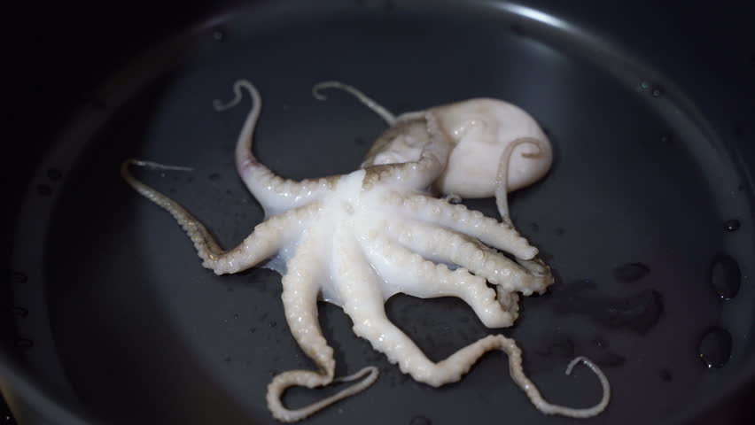 Seafood. Octopus is fried in a frying pan. Close-up.