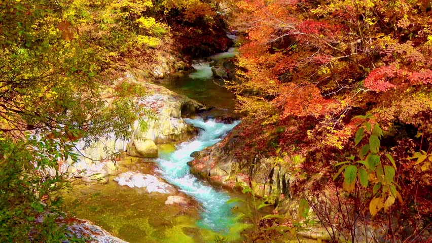 Nakatsugawa Valley in autumn (Urabandai, Fukushima Prefecture)