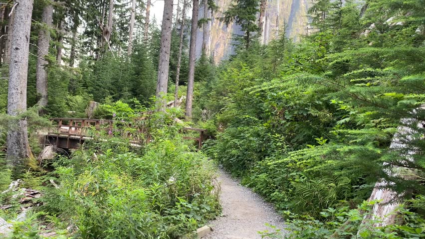 A walk along the famous Big Four Ice Caves Trail in Washington State reveals a charming bridge nestled in the forest. The video highlights the trail