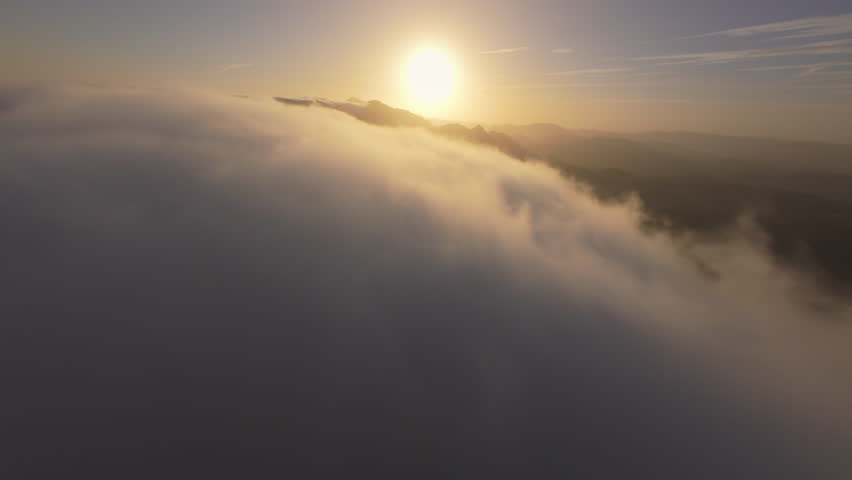 Shutterstock Video