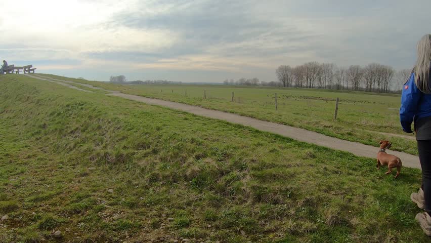 Senior adult woman walking with her dog on hillside path towards benches in viewpoint, hazy and blurry sky, daytime in Dilsen Stokkem nature reserve in De Wissen Maasvallei at Dilsen-Stokkem, Belgium