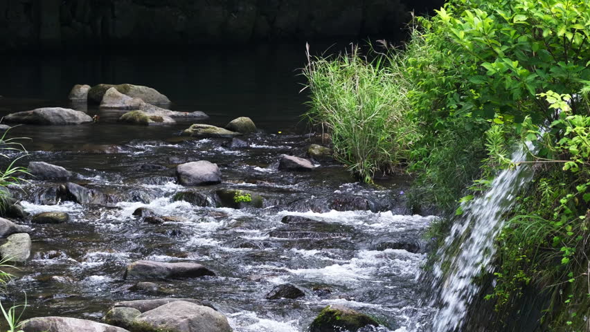 Landscape of a river flowing through nature