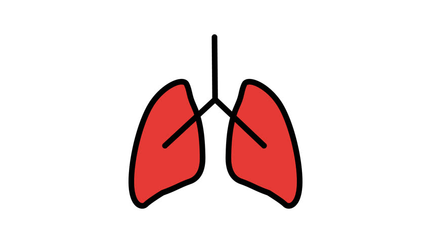 Animated Lungs Icon in Filled Line Style with Alpha Channel. Perfect for Project and Presentations