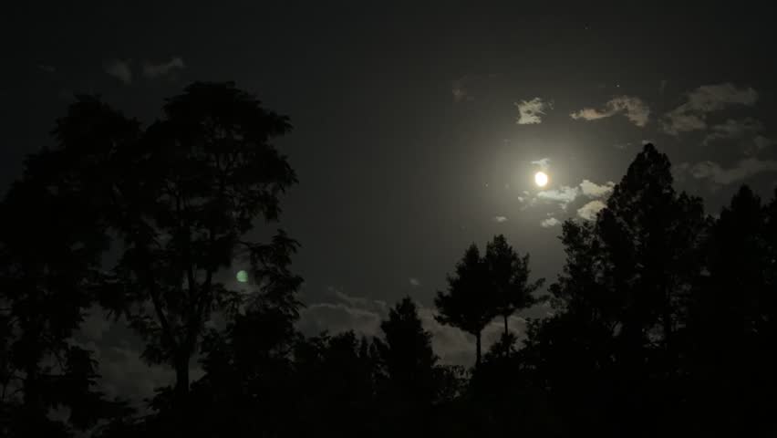 The Moon from Black Forest 