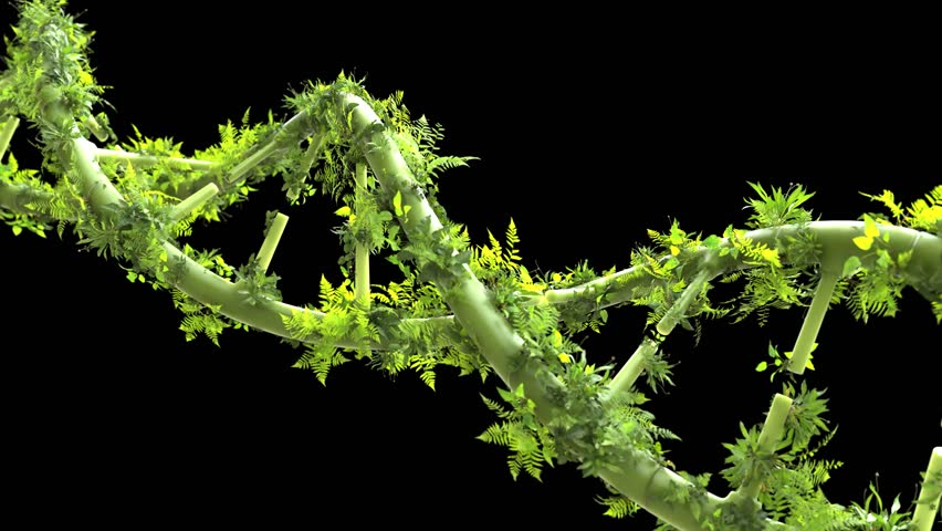 Green DNA with trees growing on black background, Biotechnology science concept - Powered by Shutterstock - Get 15% off with code: PIKWIZARD15