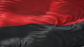 Footage featuring Ukrainian national symbols: waving flag, Tryzub, and coat of arms. Ideal for patriotic, historical, or cultural projects. flag of ukraine, red and black flag, battle flag, cossacks - Powered by Shutterstock - Get 15% off with code: PIKWIZARD15