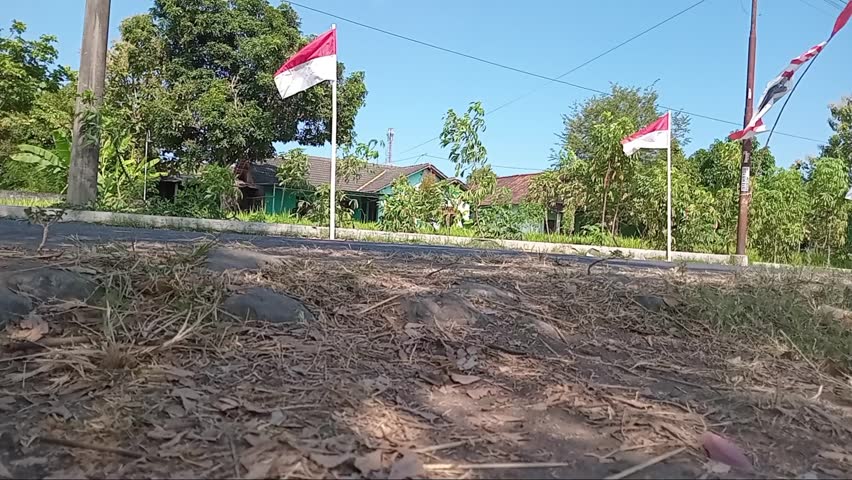 Waving flags of indonesia.in the edge of street. Red, white. Bendera. August, 17th