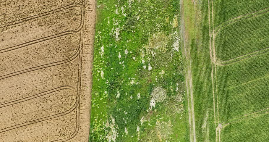 Aerial view of fallow land, overgrown with wild herbs and flowers. Flying above fallow agricultural land