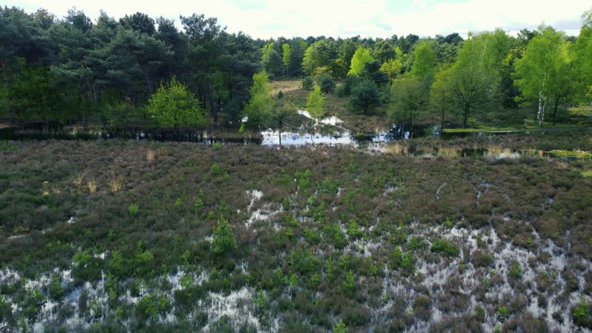Aerial View of The Loonse and Drunense Duinen National Park, Trees and a Lake. Netherlands