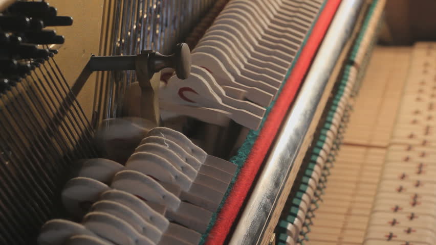 Пианино внутри. Фортепиано внутри. Рояль музыкальный инструмент внутри. Механика рояля. Рояль внутри.