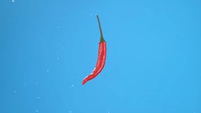 Single small hot red chili pepper flying through air and spinning with small water droplets. High quality cinematic studio commercial super slow motion 1000fps fresh pepper moving up and down. - Powered by Shutterstock - Get 15% off with code: PIKWIZARD15