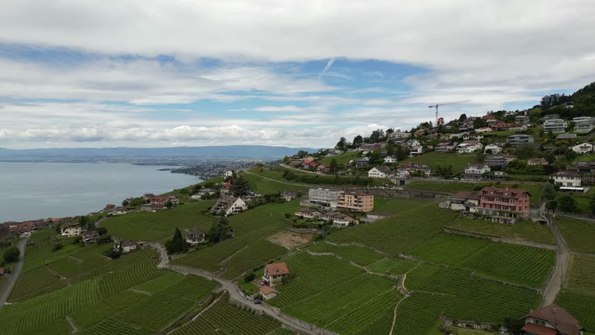 The shores of Lake Geneva in Lavaux, Switzerland. Aerial drone shot.