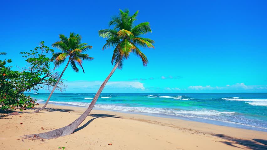 Palm trees on Thailand beach above turquoise sea. Tropical summer sunny seascape. Best beaches in the world. Sandy beach of Phuket in the morning with palm trees and blue sky. Sea waves on sand.