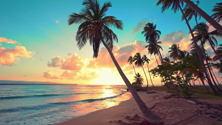 Exotic coastline with palm trees at sunset. Calm sea water waves with orange sunshine at sunset. Evening beach on the island. Summer holidays, rest in amazing picturesque nature. Relaxing paradise.