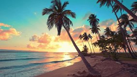 Exotic coastline with palm trees at sunset. Calm sea water waves with orange sunshine at sunset. Evening beach on the island. Summer holidays, rest in amazing picturesque nature. Relaxing paradise. - Powered by Shutterstock - Get 15% off with code: PIKWIZARD15