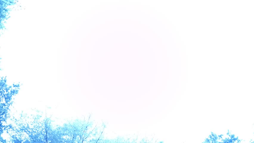 star trails shot on action camera,European sky night panorama time lapse,long exposure photography,astrophotography nature concept