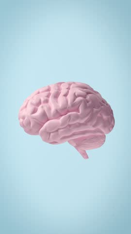 Human brain rotating on its own axis on blue background. Vertical size.
