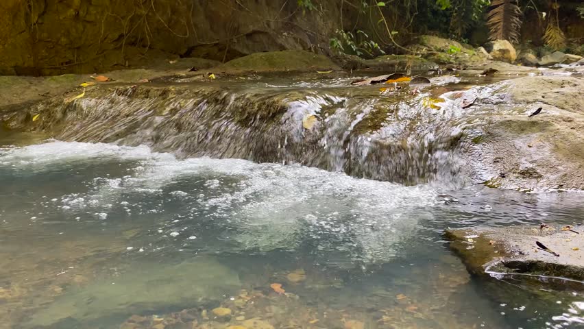 Dynamic footage of rushing rapids in a river, surrounded by stunning trees. The powerful flow of the water creates a mesmerizing and relaxing soundscape, perfect for enhancing projects related to natu