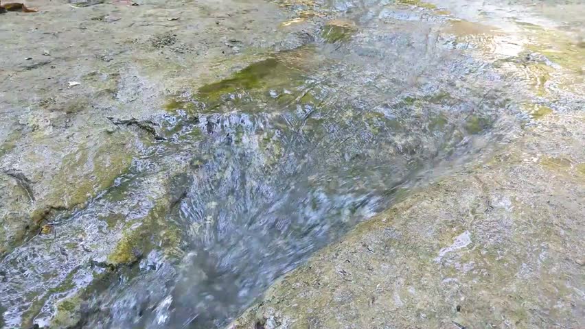 Dynamic footage of rushing rapids in a river, surrounded by stunning trees. The powerful flow of the water creates a mesmerizing and relaxing soundscape, perfect for enhancing projects related to natu