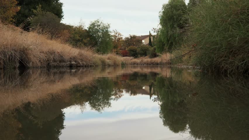 Still body of water by green plants and grass.