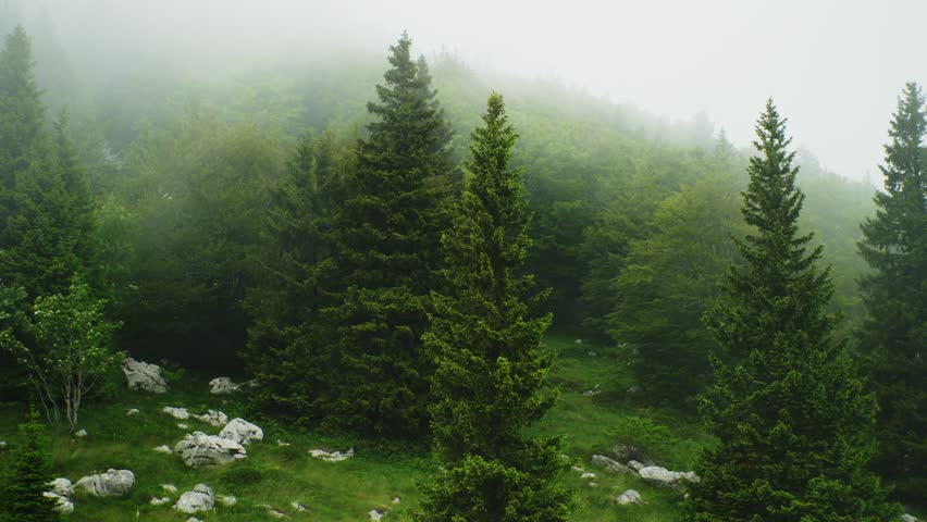 Low hanging fog in the mountains of National Park North Velebit in Croatia. Very foggy weather conditions during a summer day in South Europe. 