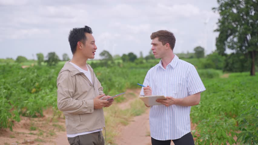 Agriculturist people working in garden with windmill farm background. Attractive two male planter worker looking and checking quality of commercial agriculture with happiness at the wind turbine field