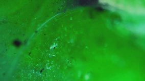 Bubble oil. Glitter fluid. Defocused green acid black color gel flowing texture shiny particles dust stain environment pollution abstract background. - Powered by Shutterstock - Get 15% off with code: PIKWIZARD15