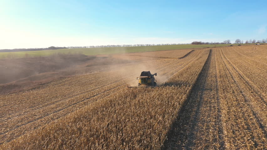 Flying over modern harvester gathering crop of ripe corn in field at sunny day. Combine riding through rural cutting yellow stalks of maize. Aerial shot of farmland during harvesting process. Slow mo