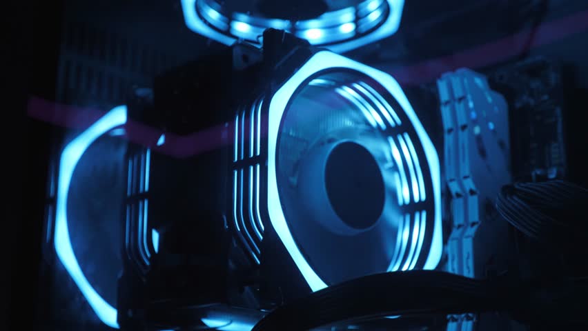 Shutterstock Video