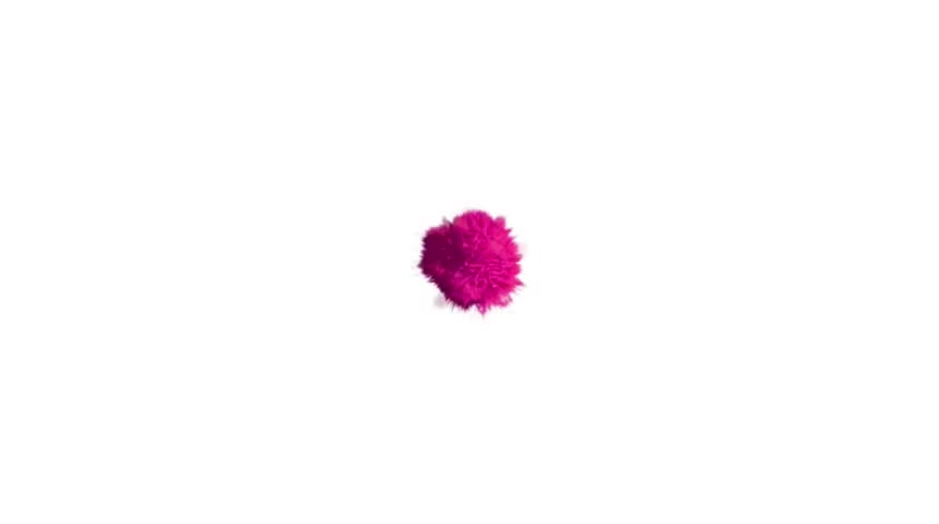 Shutterstock Video