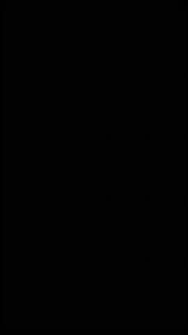 Khokhloma Russia of bright red flowers and berries on black background. Animation Khokhloma