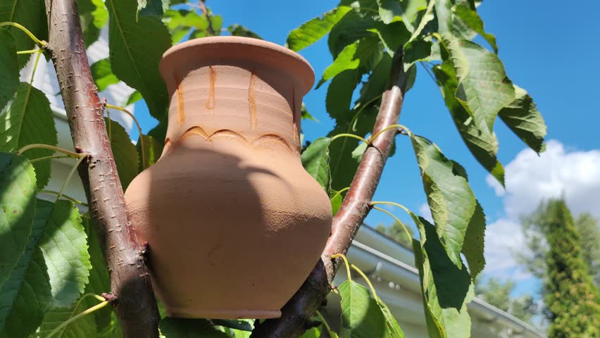 orange clay jug. antique jug. Clay pots outdoor decor. A Group of Large Old Clay Jars With Cracks . treasure of medieval silver coins