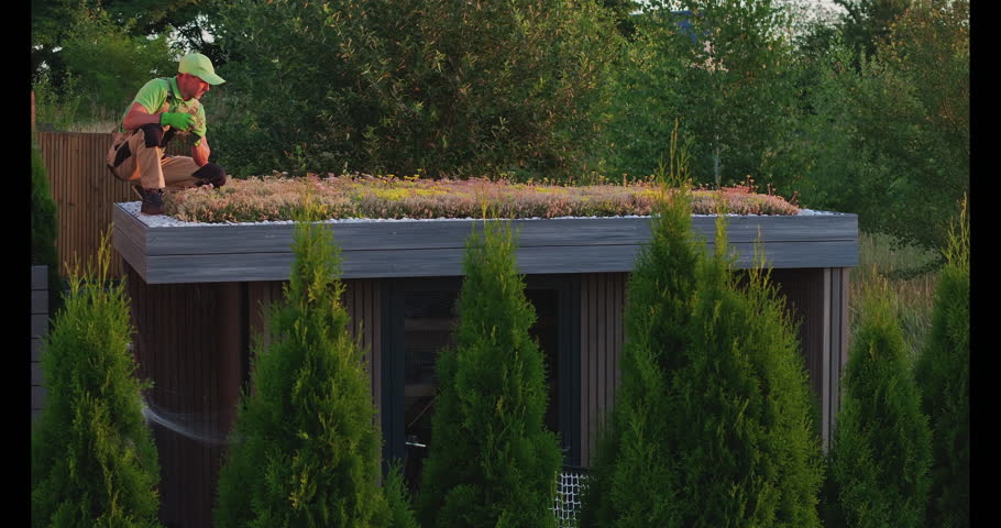 A gardener is carefully working on a green roof, planting vegetation on a contemporary building surrounded by trees in the warm light of summer.