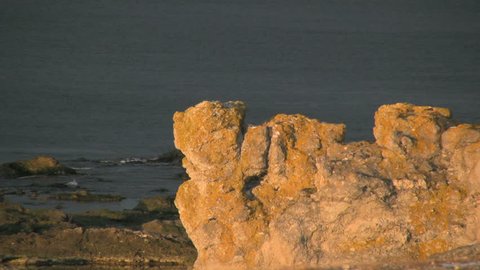 Eroded limestone stacks on the coast on the island Fårö in Sweden