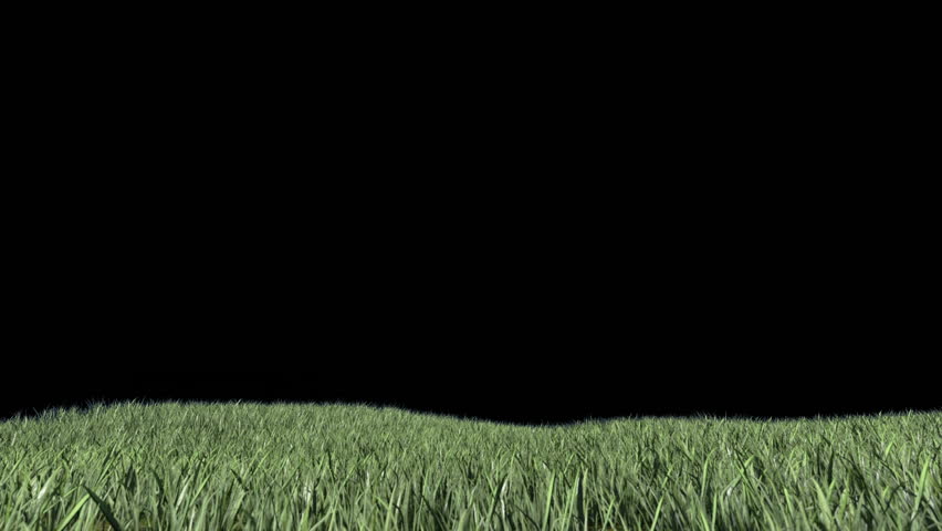 Grass Field with Alpha Matte