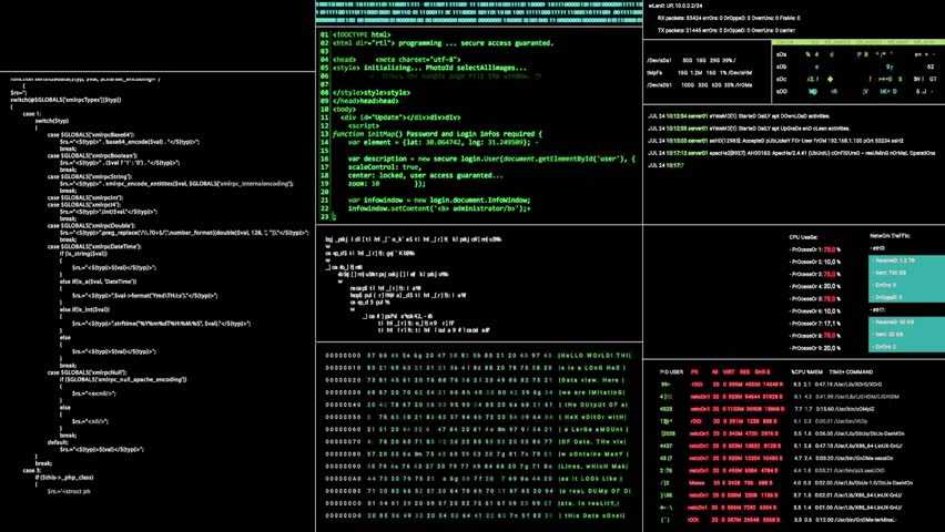 An elegantly designed digital display showcasing code snippets, detailed statistics, and vital server data